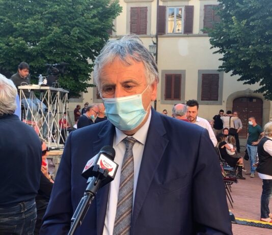 Tagli bosco, Ceccarelli (Pd): “Dopo la sentenza del Consiglio di Stato, burocrazia insostenibile per piccole imprese”