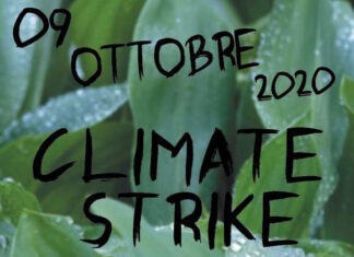 La crisi climatica: Fridays for Future Arezzo alza la voce (con la mascherina)