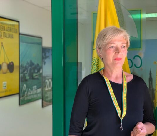 Cinghiali, Coldiretti: “L’ordinanza regionale non ferma l’invasione”