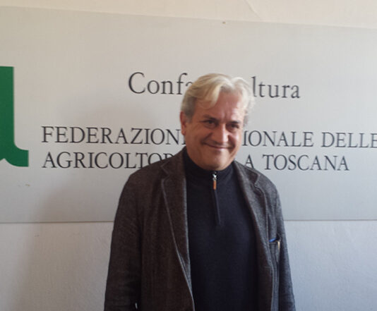 Agricoltura 4.0, ecco la tecnologia che cura le viti con meno fitofarmaci