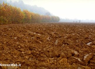 Vendita di un terreno in frazione Paradiso