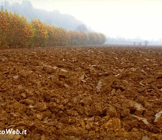 Vendita di un terreno in frazione Paradiso