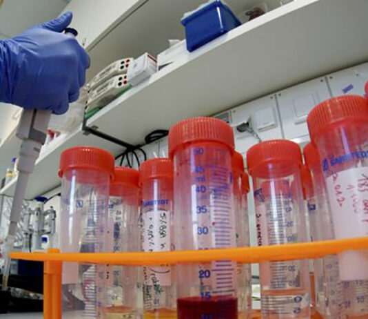 Coronavirus: 13 nuovi casi nell’aretino, 12 persone in degenza covid, 4 in terapia intensiva