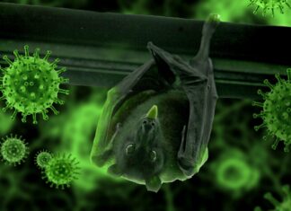 Le persone vaccinate sono ora una parte significativa della pandemia