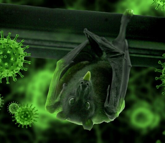 Le persone vaccinate sono ora una parte significativa della pandemia