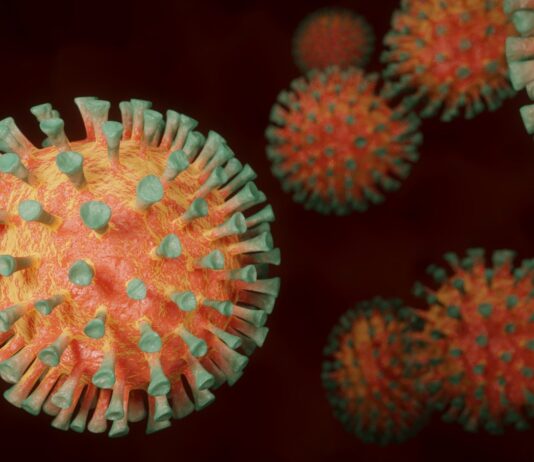 Coronavirus: 263 nuovi casi nell’aretino, 26 persone in degenza covid, 7 in terapia intensiva