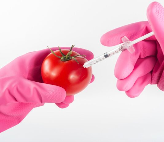 Perchè una Azienda di ingegneria genetica a Trieste gode di immunità illimitate?