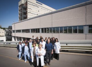 Le storie che non vorremmo mai raccontare. I casi di donne che subiscono violenza in Asl Tse sono in aumento