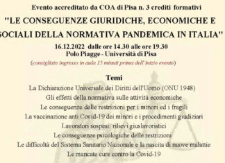 Le conseguenze giuridiche, economiche e sociali della normativa pandemica in Italia