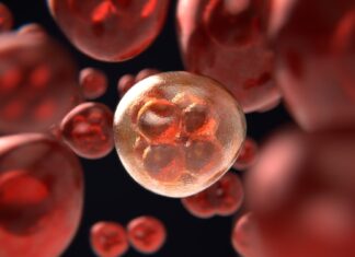 Istituto Superiore di Sanità: “oggi si assiste a una vera e propria epidemia di casi di cancro”