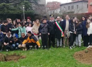 Sansepolcro, una “Festa degli Alberi” al parco del Millenario