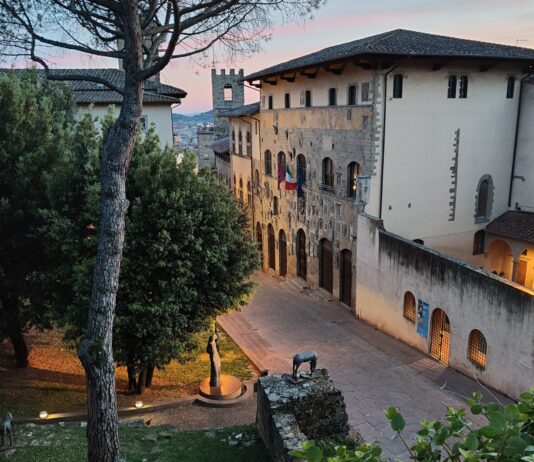 “Psicanalisi e lockdown. Tra emergenze e disagio giovanile”: il nuovo ciclo di incontri di “Scaffali”