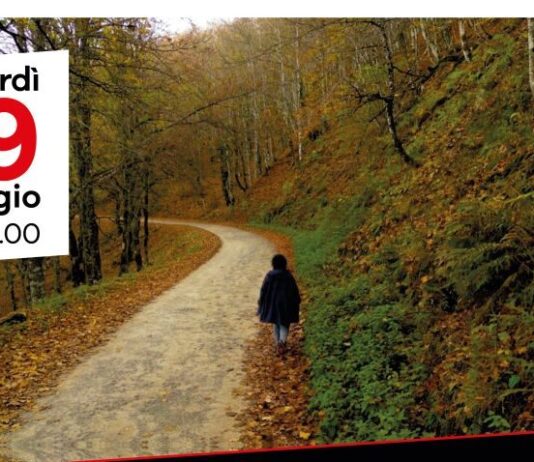 Al Centro Creativo Casentino la proiezione del documentario Rai 5 “Rosso Casentino”