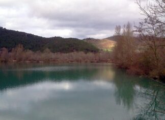 Disperso dopo immersione nell’area di Golena del Tevere