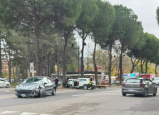 Grosso incidente in Viale Giotto, un’auto finisce contro un albero