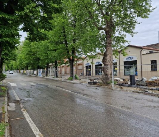 Riqualificazione urbana: la situazione delle alberature in Viale Vittorio Veneto