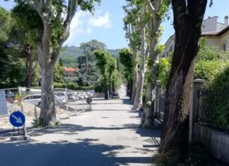 Verde pubblico, la strategia dell’amministrazione comunale di Sansepolcro