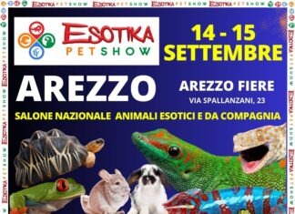 Esotika Pet Show”: non solo cuccioli ma una due giorni di festa in famiglia