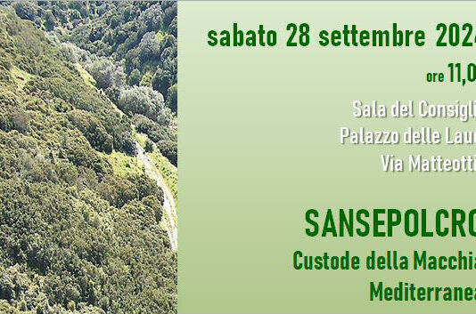 Carta di Caltagirone, sabato la cerimonia di consegna della Menzione di Custode della Macchia Mediterranea in Sala del Consiglio