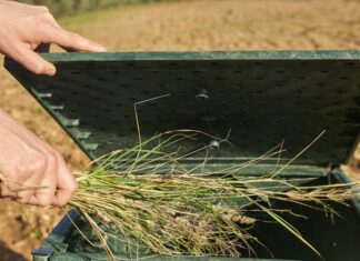 Compostaggio domestico, al via i controlli a domicilio