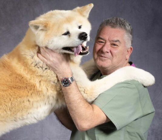 “Gli animali ci salvano” di Alberto Brandi a Villa Severi