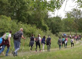 Festival dei Cammini di Francesco 2025