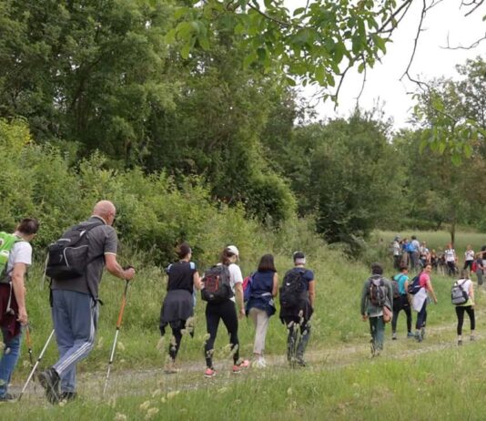 Festival dei Cammini di Francesco 2025