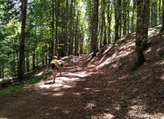 Aree interne: 12 milioni di euro al “Casentino – Valtiberina”