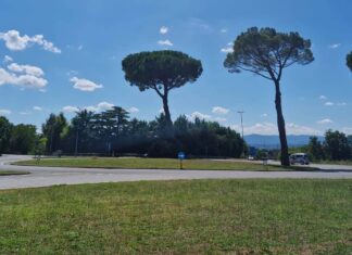 Sansepolcro: “la gestione esterna del verde pubblico funziona”