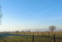 Ciapanella, i cittadini di Gricignano chiedono di essere ascoltati