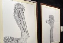 Sansepolcro: inaugurata al Museo Civico la mostra “Zoomorphica”