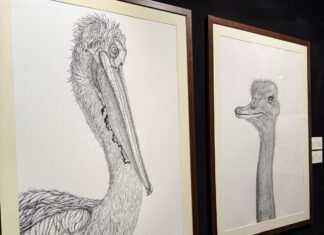 Sansepolcro: inaugurata al Museo Civico la mostra “Zoomorphica”