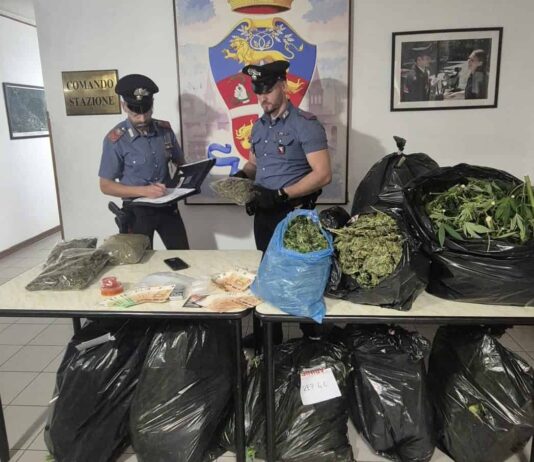 Sansepolcro: coltivavano marijuana nel giardino condominiale